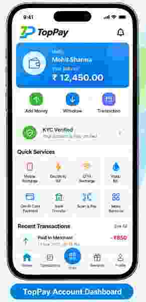 Toppay account dashboard screenshot